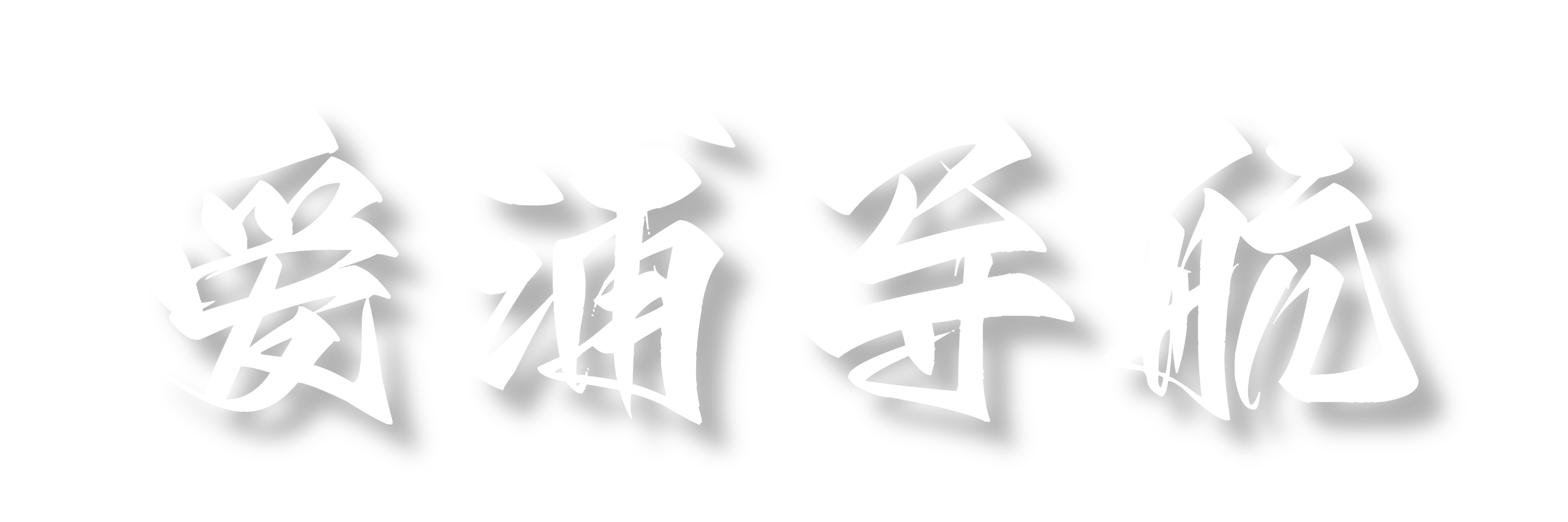 爱浦导航